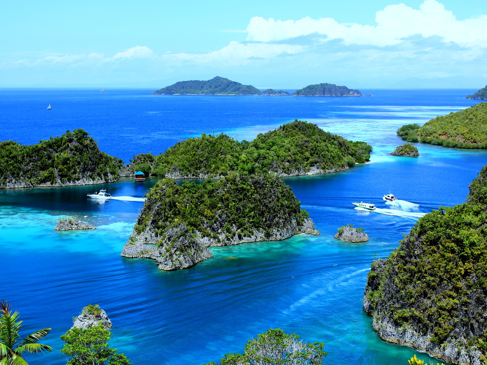 Raja Ampat, Indonesia - Image by Ady Arif Fauzan from Pixabay Raja Ampat, Indonesia - Image by Ady Arif Fauzan from Pixabay