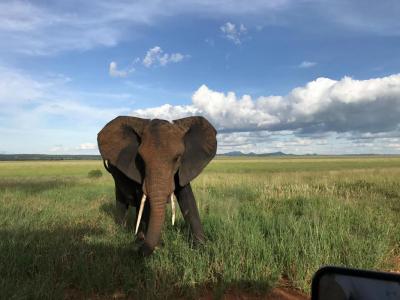 Tanzania Tanzania