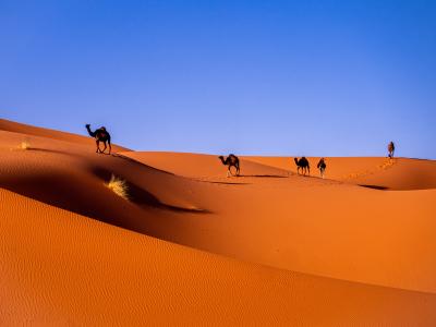 Merzouga - Photo by Carlos Leret on Unsplash