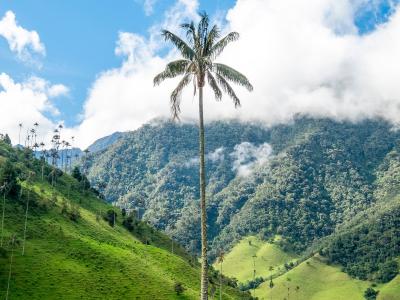 Photo by Christian Holzinger on Unsplash Photo by Christian Holzinger on Unsplash