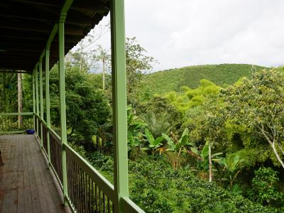 Coffee Region, Colombia Coffee Region, Colombia