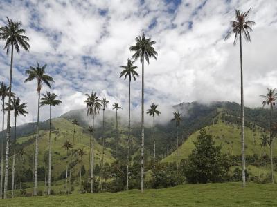 Coffee Region, Colombia Image by Makalu from Pixabay Coffee Region, Colombia Image by Makalu from Pixabay