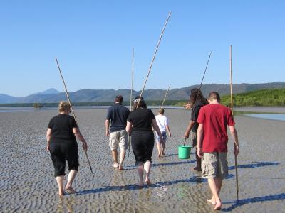 Spear fishing on the mudflats in Cairns, Australia Spear fishing on the mudflats in Cairns, Australia