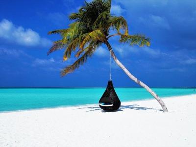 Maldives Image by <a href="https://pixabay.com/users/pasja1000-6355831/?utm_source=link-attribution&utm_medium=referral&utm_campaign=image&utm_content=3220702">pasja1000</a> from <a href="https://pixabay.com/?utm_source=link-attribution&utm_medium=referral&utm_campaign=image&utm_content=3220702">Pixabay</a>