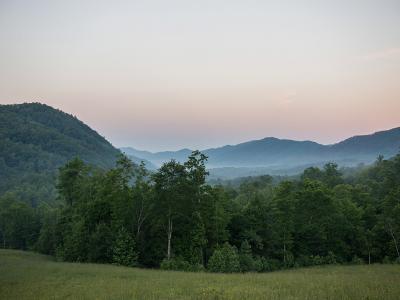 Blackberry Mountain - Tennessee Blackberry Mountain - Tennessee