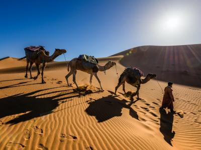Sahara Desert - Marrakech, Morocco Photo by <a href="https://unsplash.com/@katzenbus?utm_source=unsplash&utm_medium=referral&utm_content=creditCopyText">Daniel Hehn</a> on <a href="https://unsplash.com/s/photos/cherry-blossoms-japan?utm_source=unsplash&utm_medium=referral&utm_content=creditCopyText">Unsplash</a>