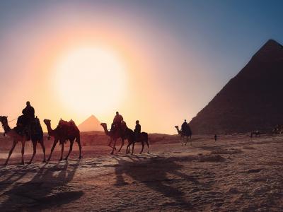 Egypt Photo by <a href="https://unsplash.com/@8moments?utm_source=unsplash&utm_medium=referral&utm_content=creditCopyText">Simon Berger</a> on <a href="https://unsplash.com/s/photos/egypt?utm_source=unsplash&utm_medium=referral&utm_content=creditCopyText">Unsplash</a>