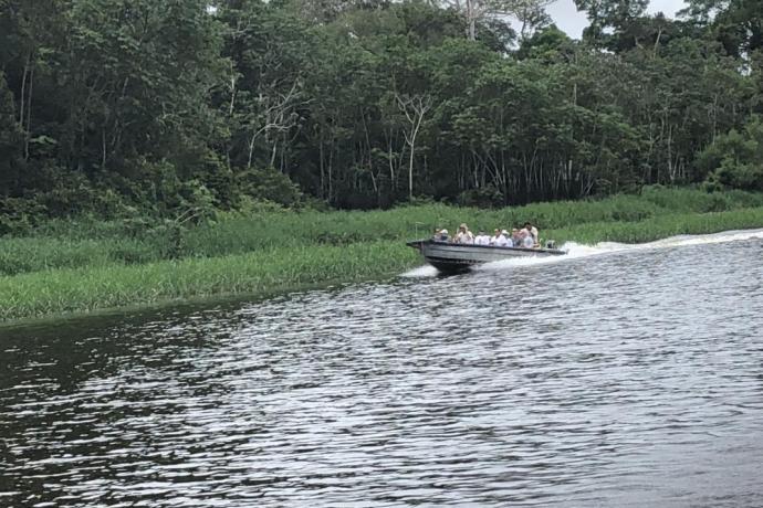 Exploring the Amazon