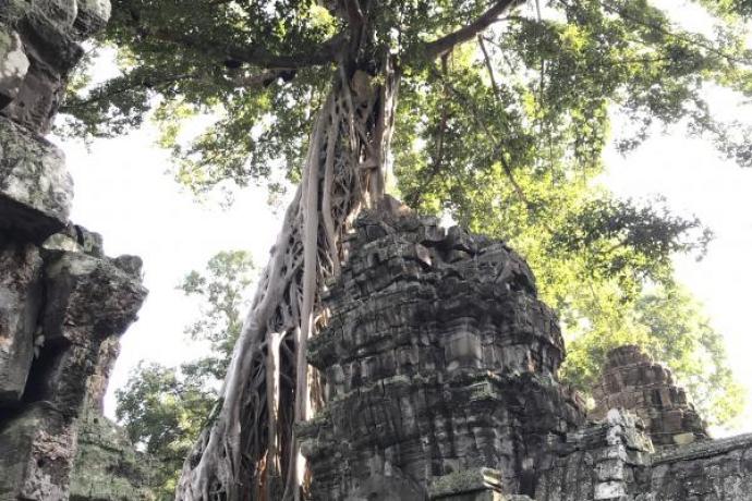 Tomb Raider Temple Siem Reap